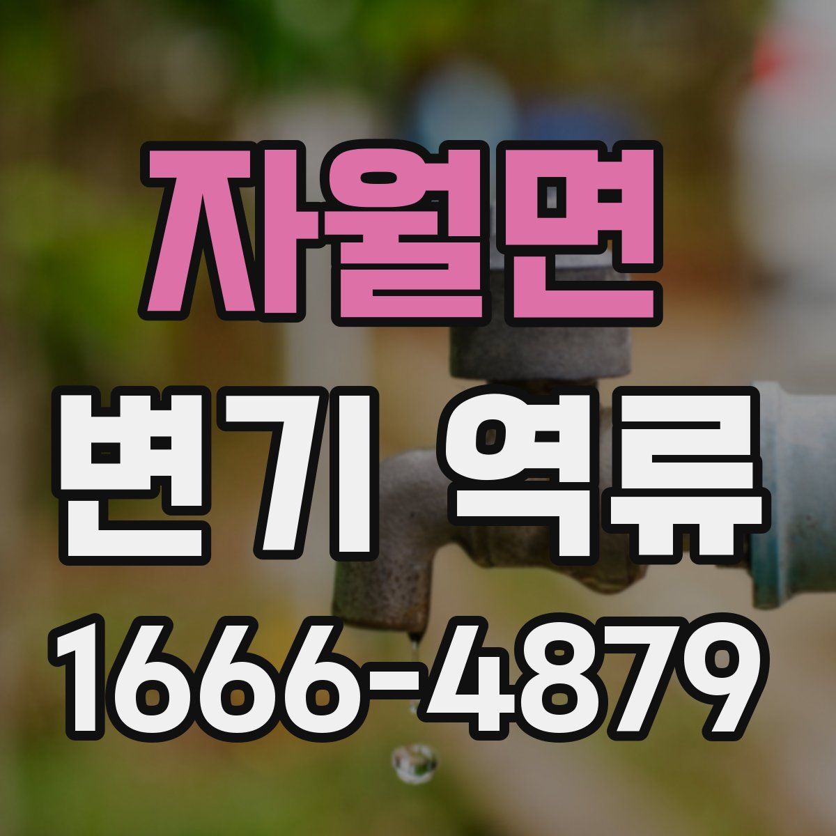 자월면 변기 역류