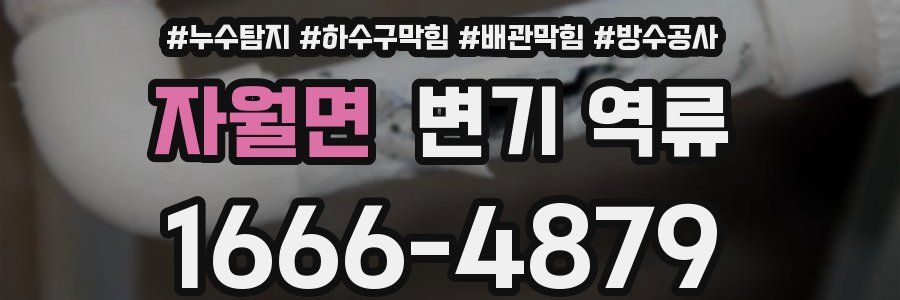 자월면 변기 역류