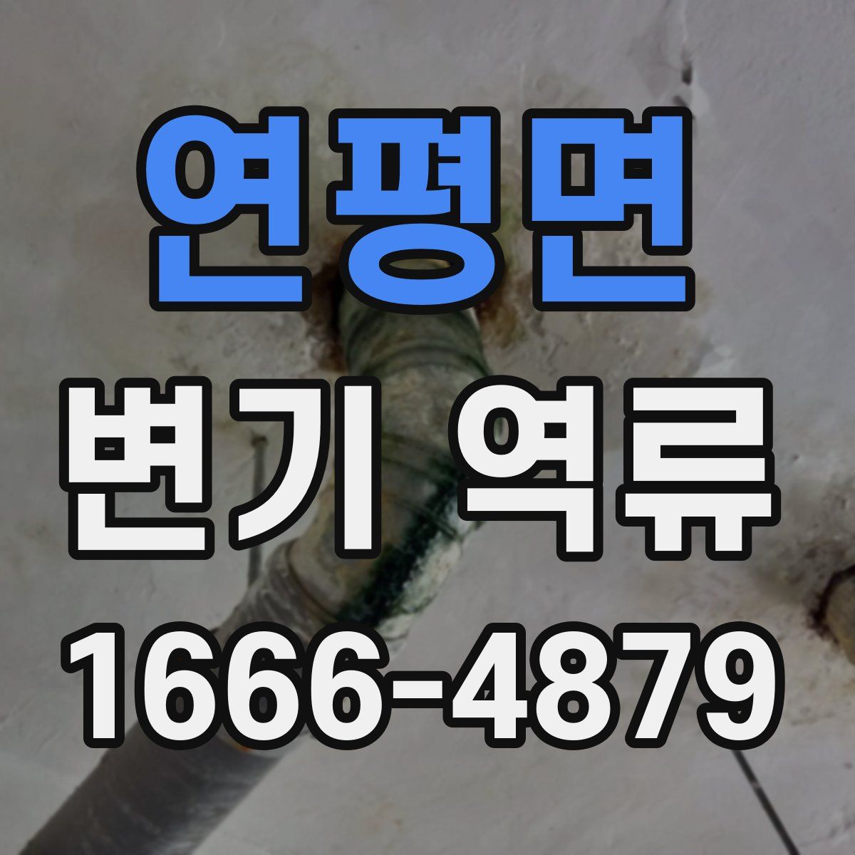 연평면 변기 역류