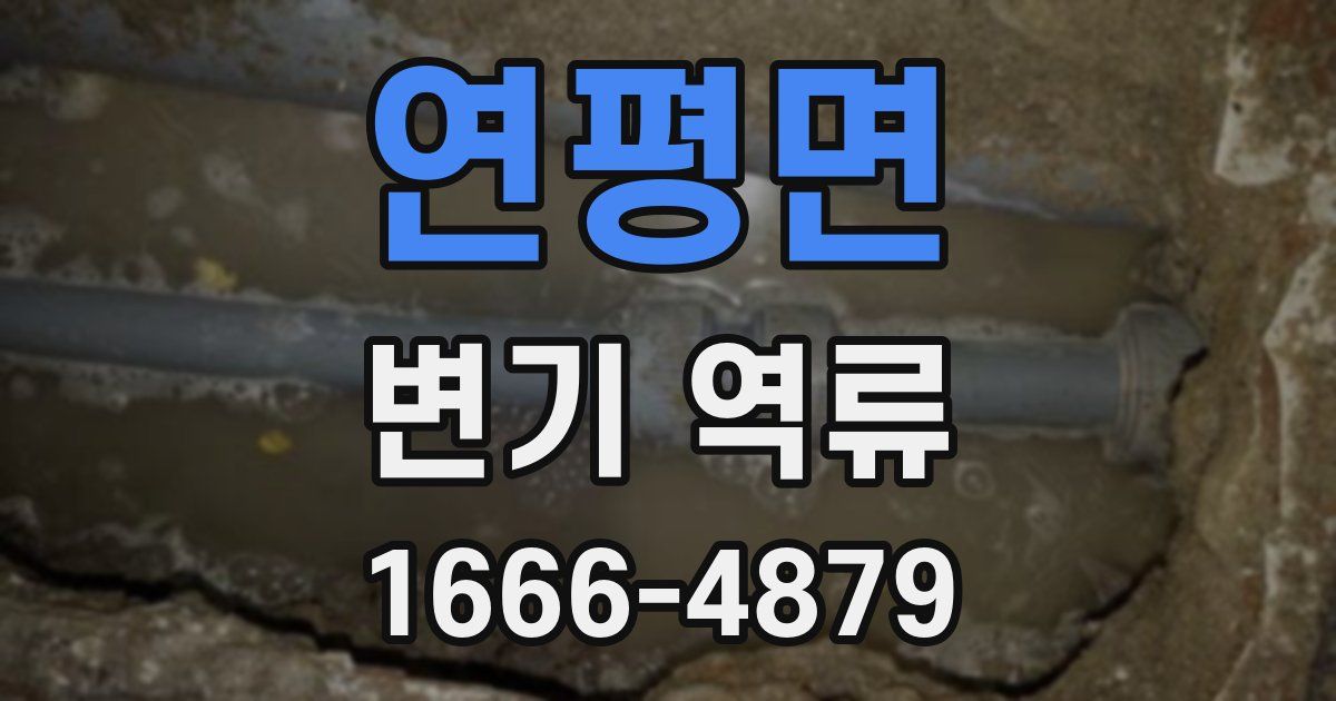 연평면 변기 역류