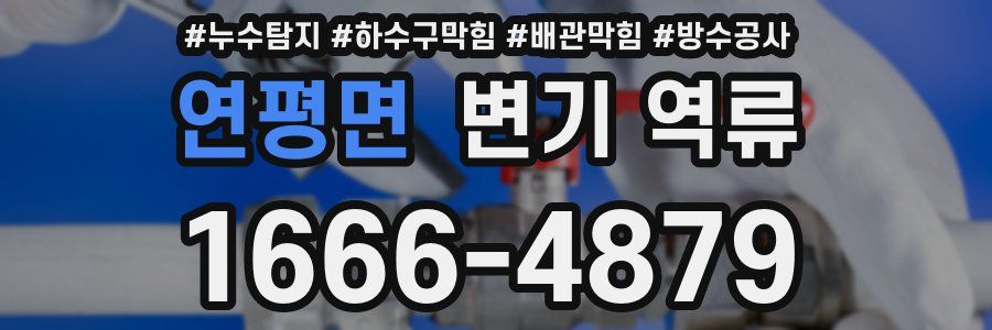 연평면 변기 역류