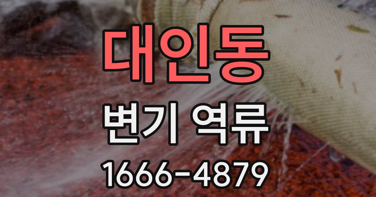 대인동 변기 역류