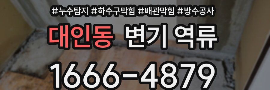 대인동 변기 역류