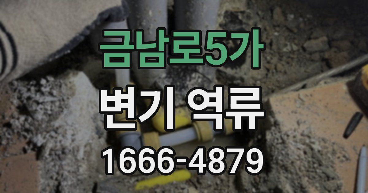 금남로5가 변기 역류