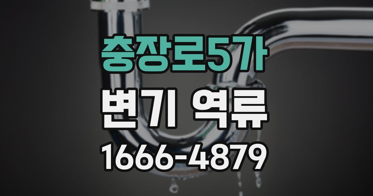 충장로5가 변기 역류