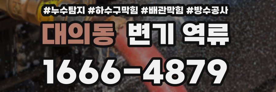 대의동 변기 역류