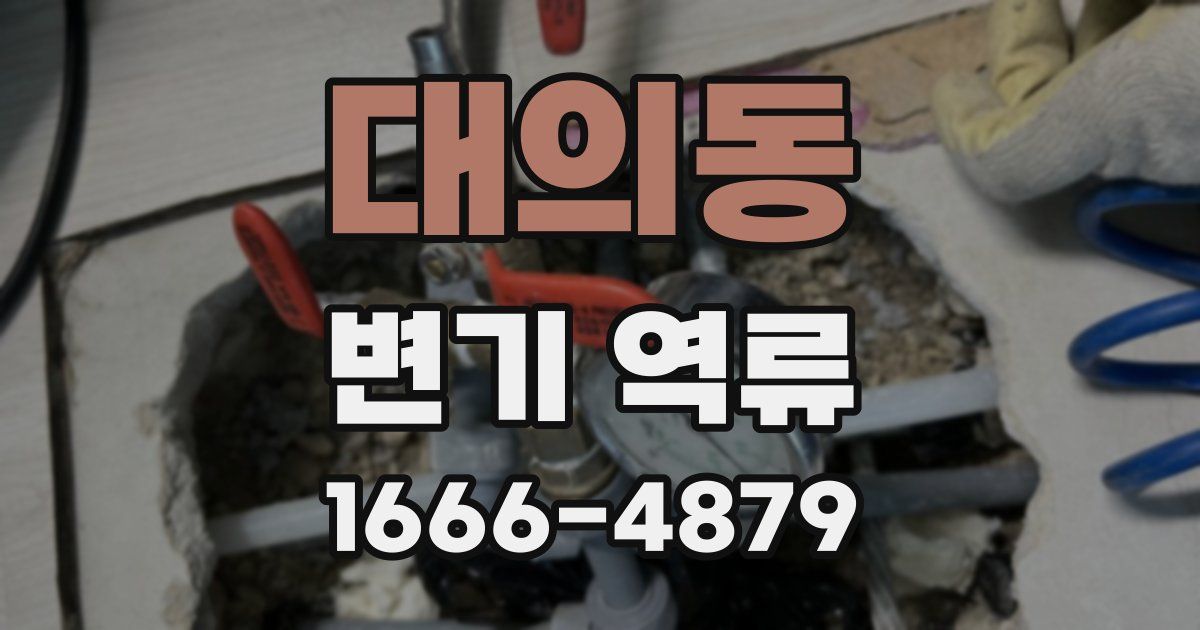 대의동 변기 역류