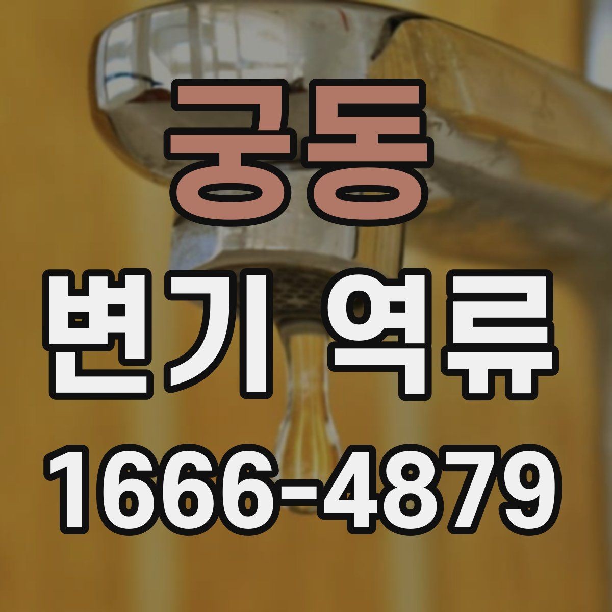 궁동 변기 역류 자주 반복될 때 확인할 부분