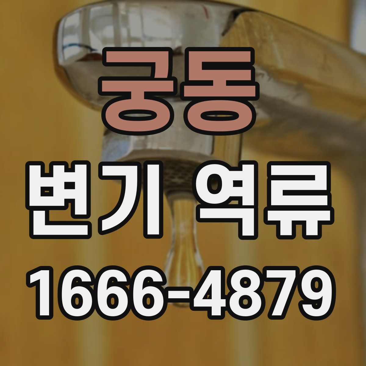 궁동 변기 역류