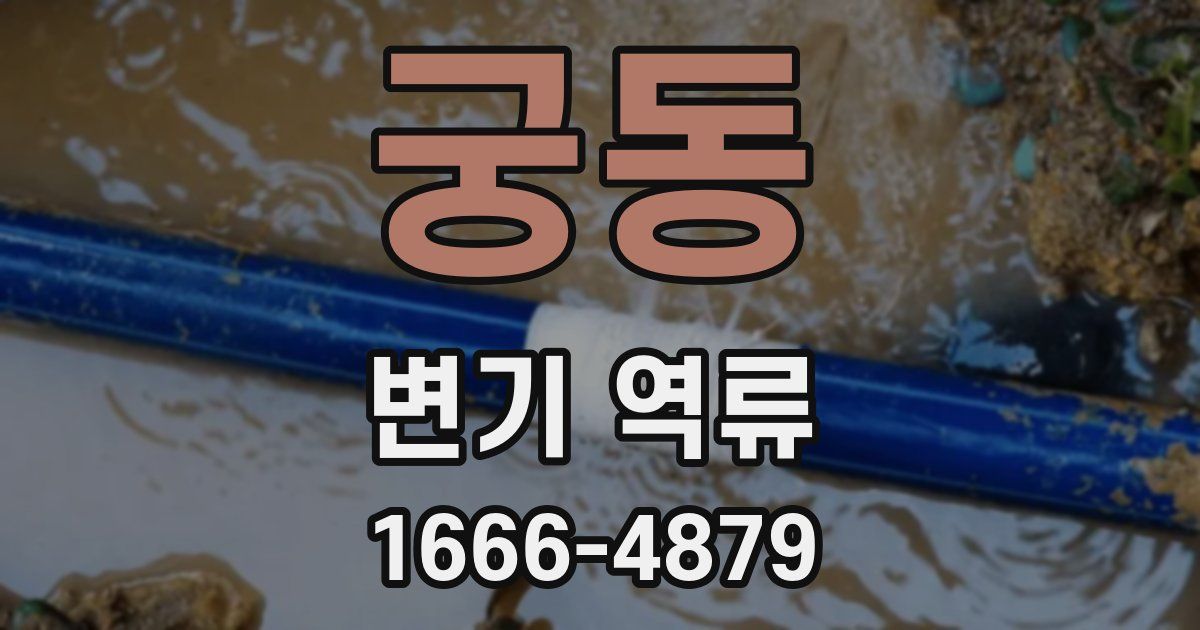 궁동 변기 역류