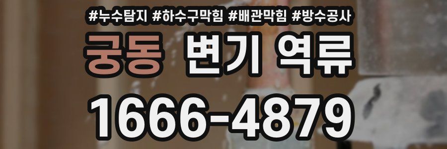 궁동 변기 역류