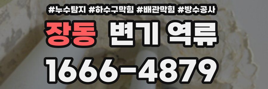 장동 변기 역류