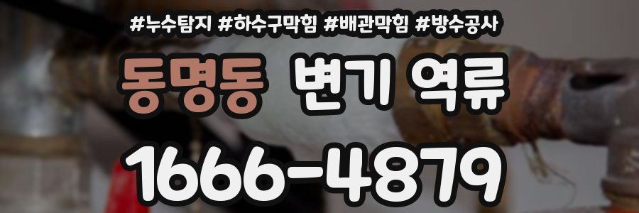 동명동 변기 역류