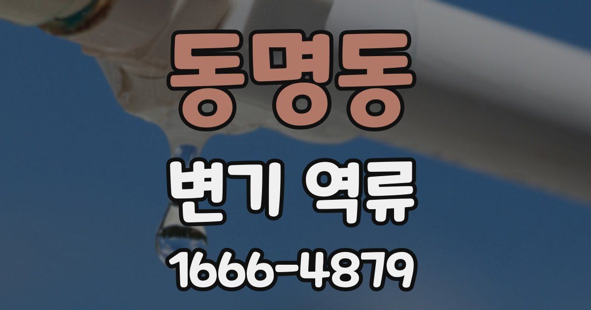 동명동 변기 역류