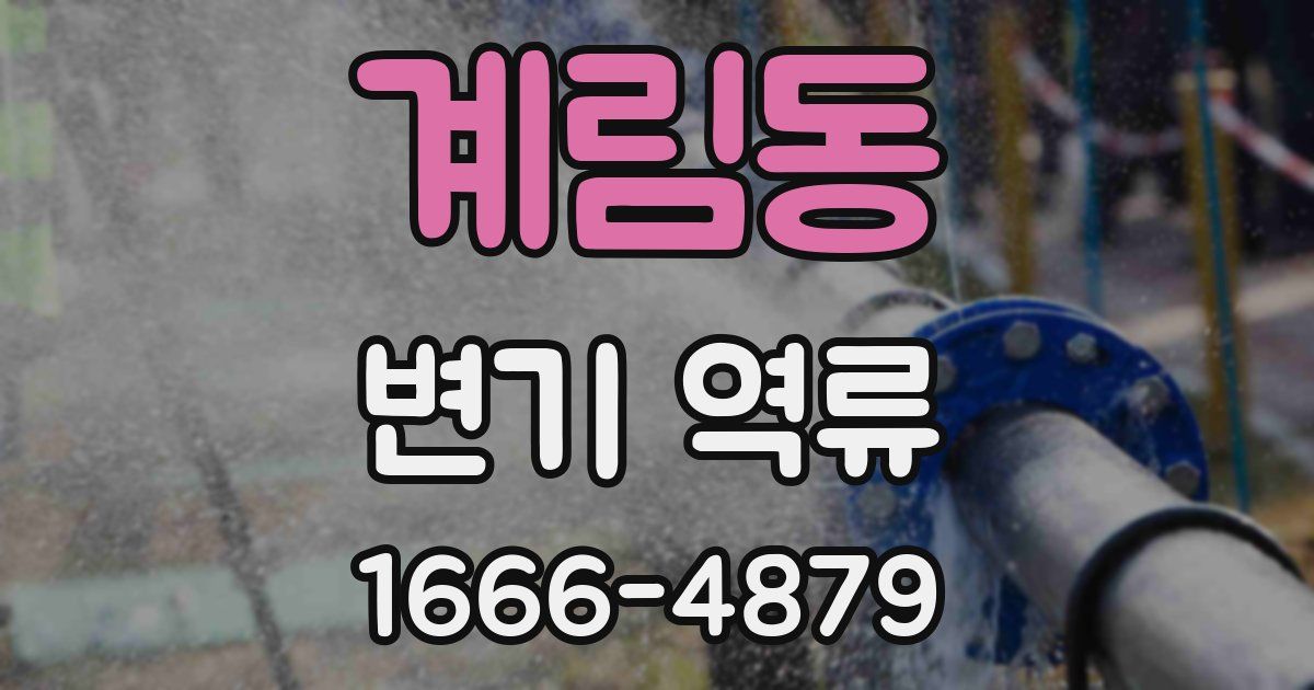 계림동 변기 역류