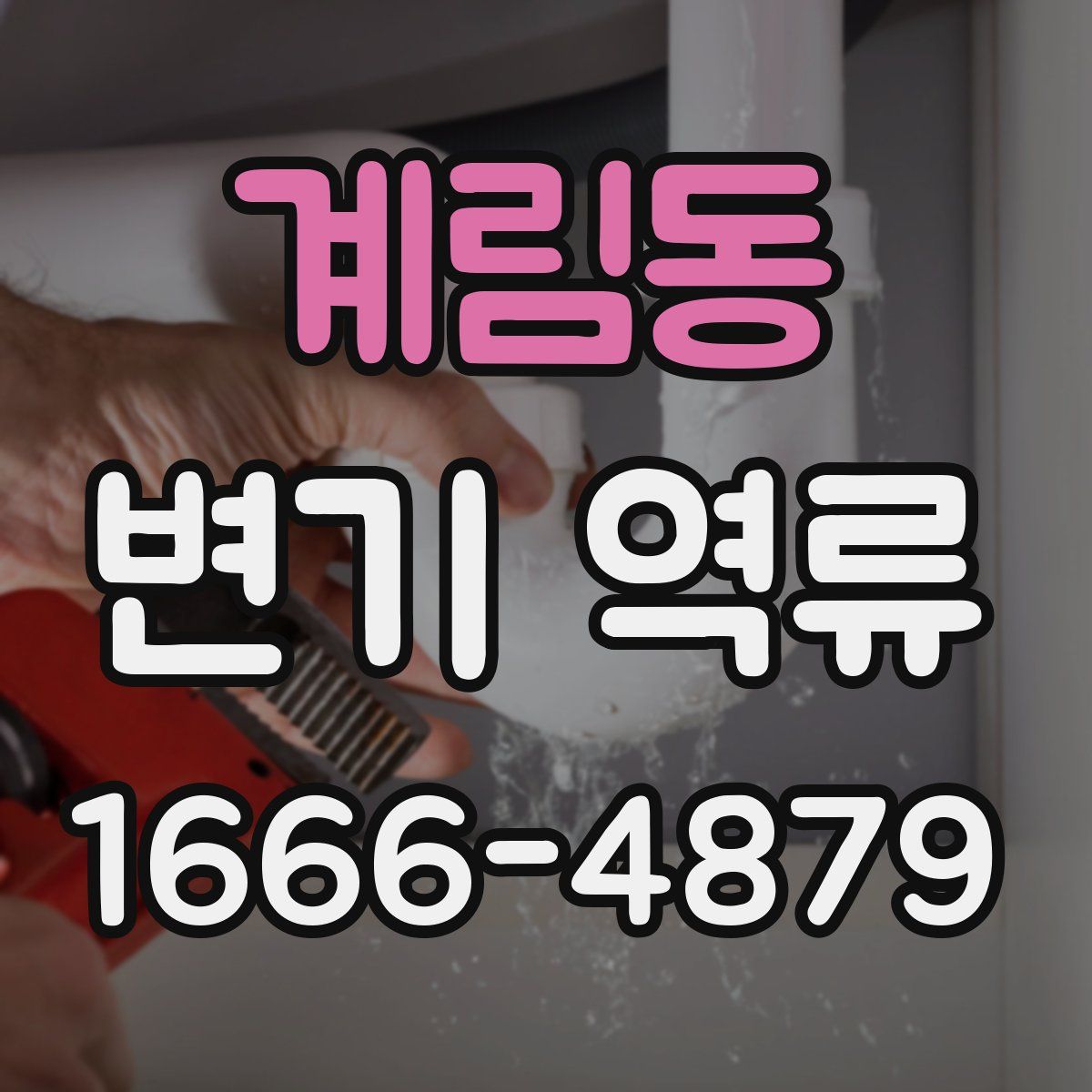 계림동 변기 역류