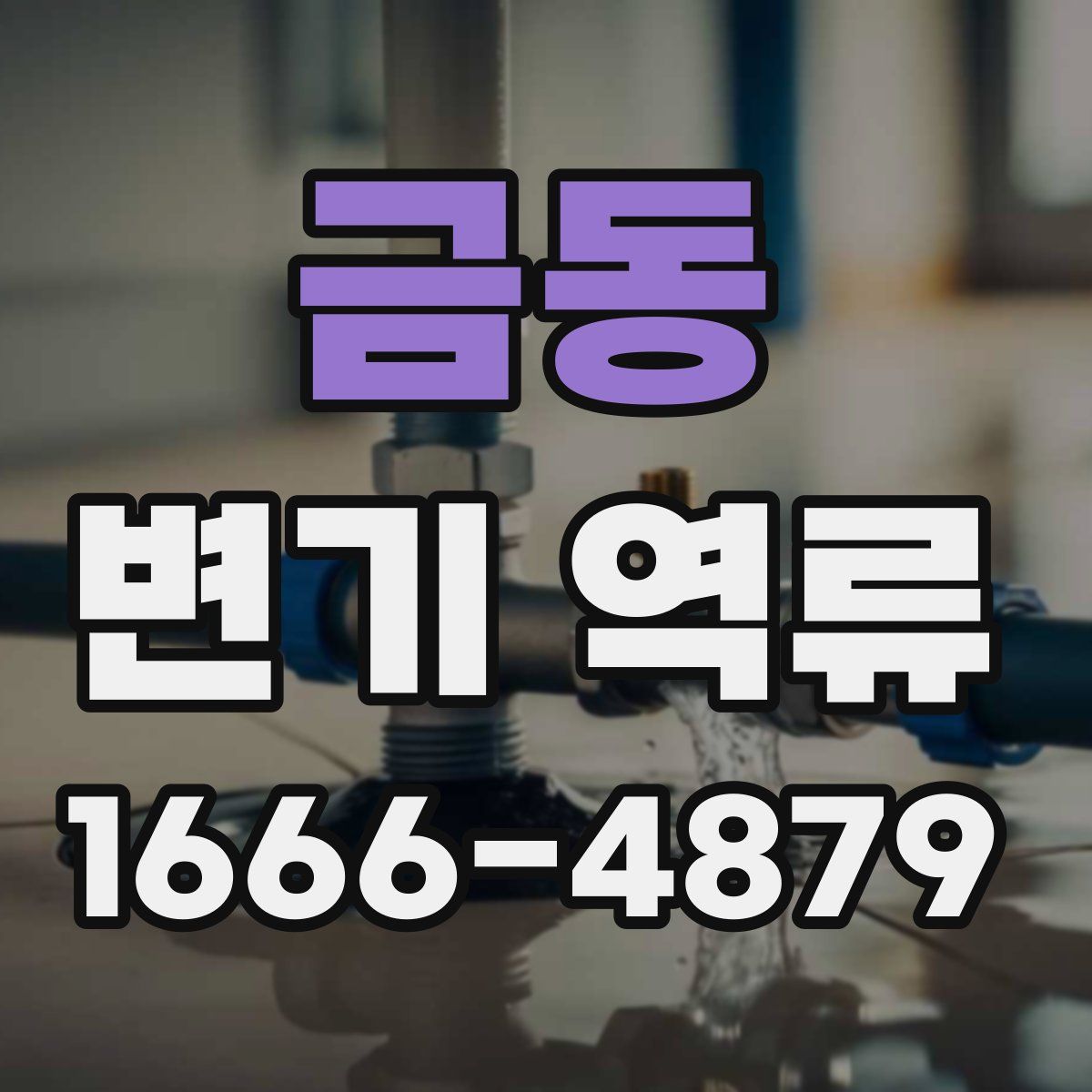 금동 변기 역류
