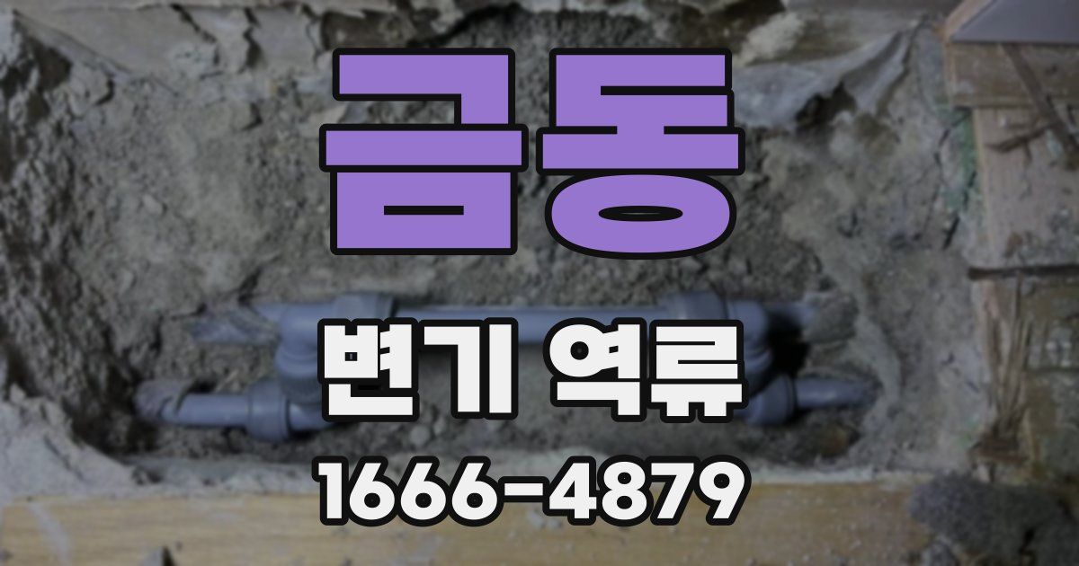 금동 변기 역류