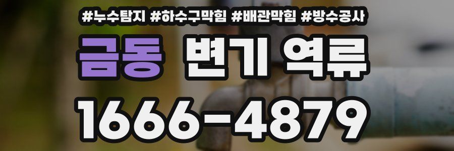 금동 변기 역류