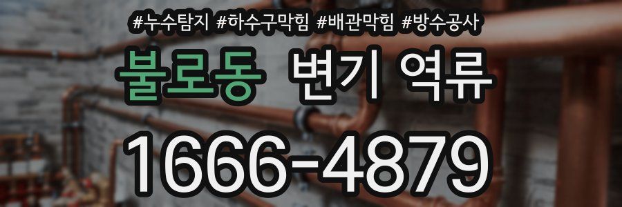 불로동 변기 역류