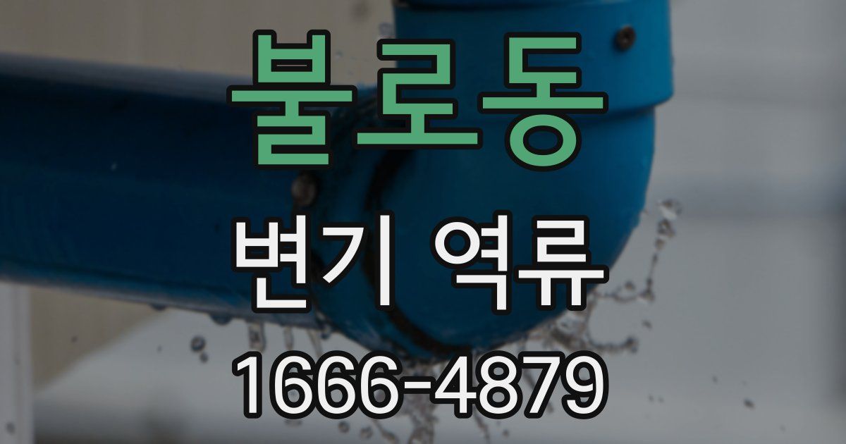 불로동 변기 역류