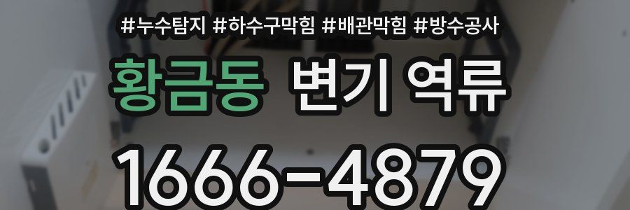 황금동 변기 역류