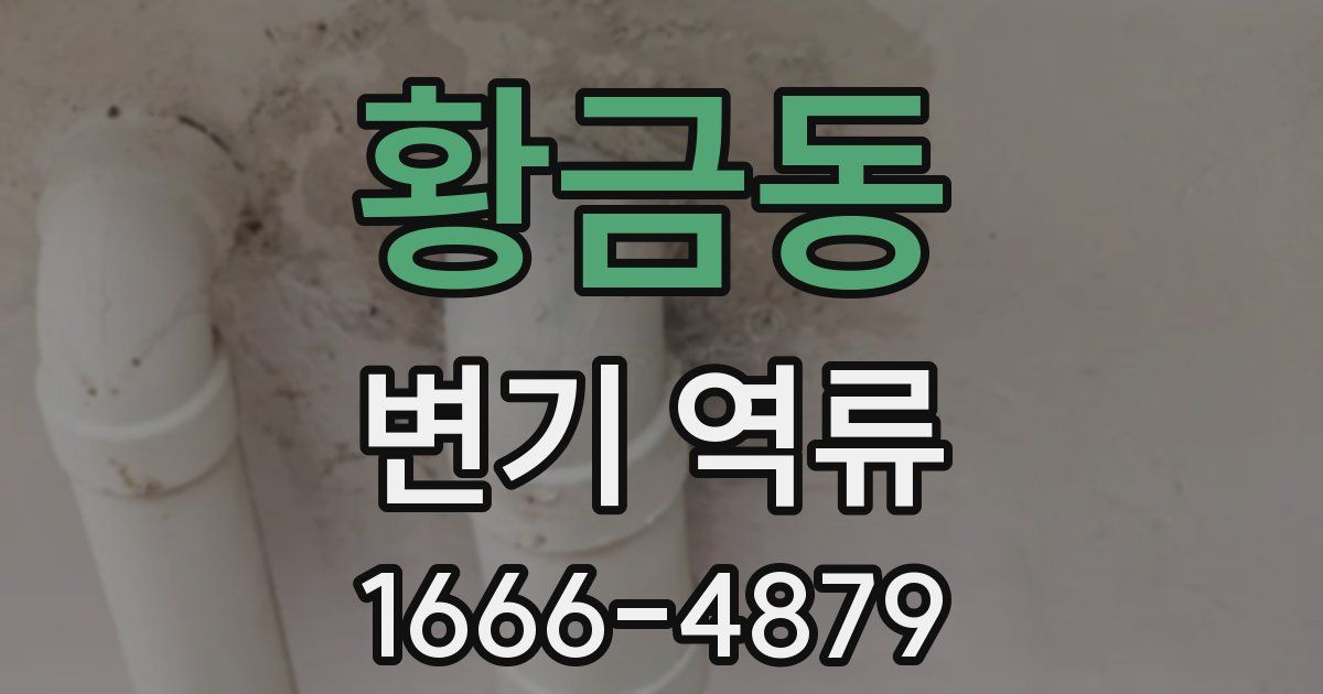 황금동 변기 역류