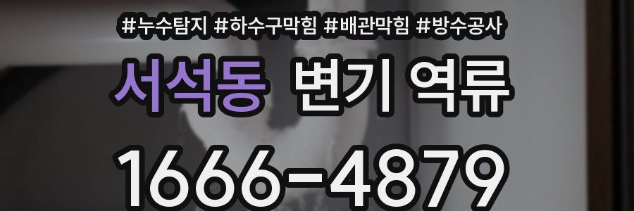 서석동 변기 역류