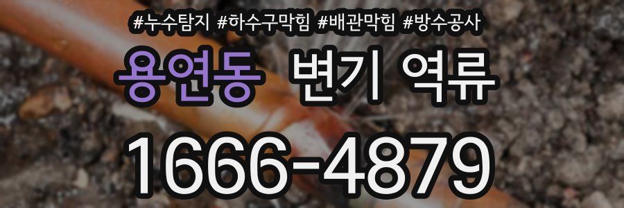 용연동 변기 역류