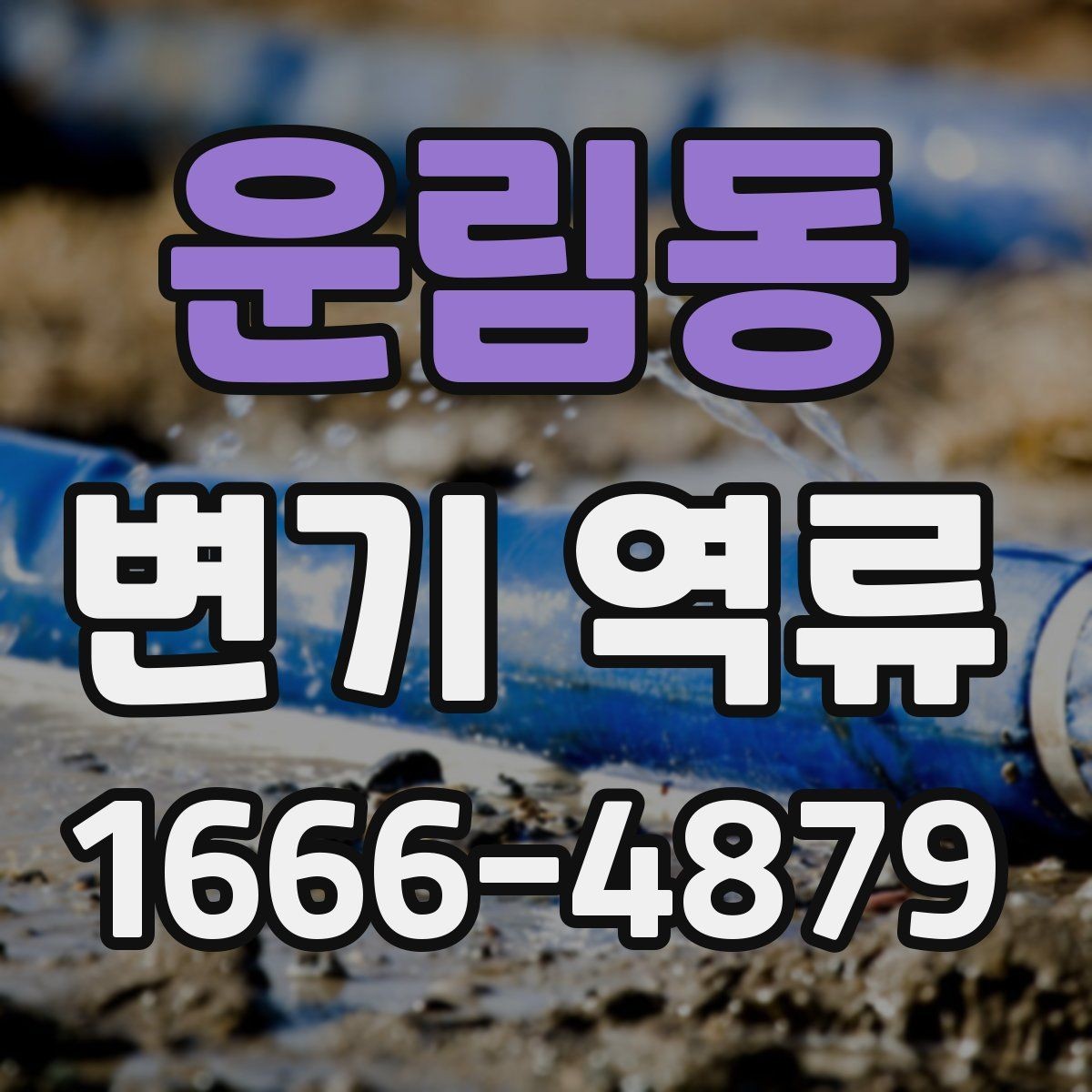 운림동 변기 역류 변기 교체보다 먼저 확인할 사항