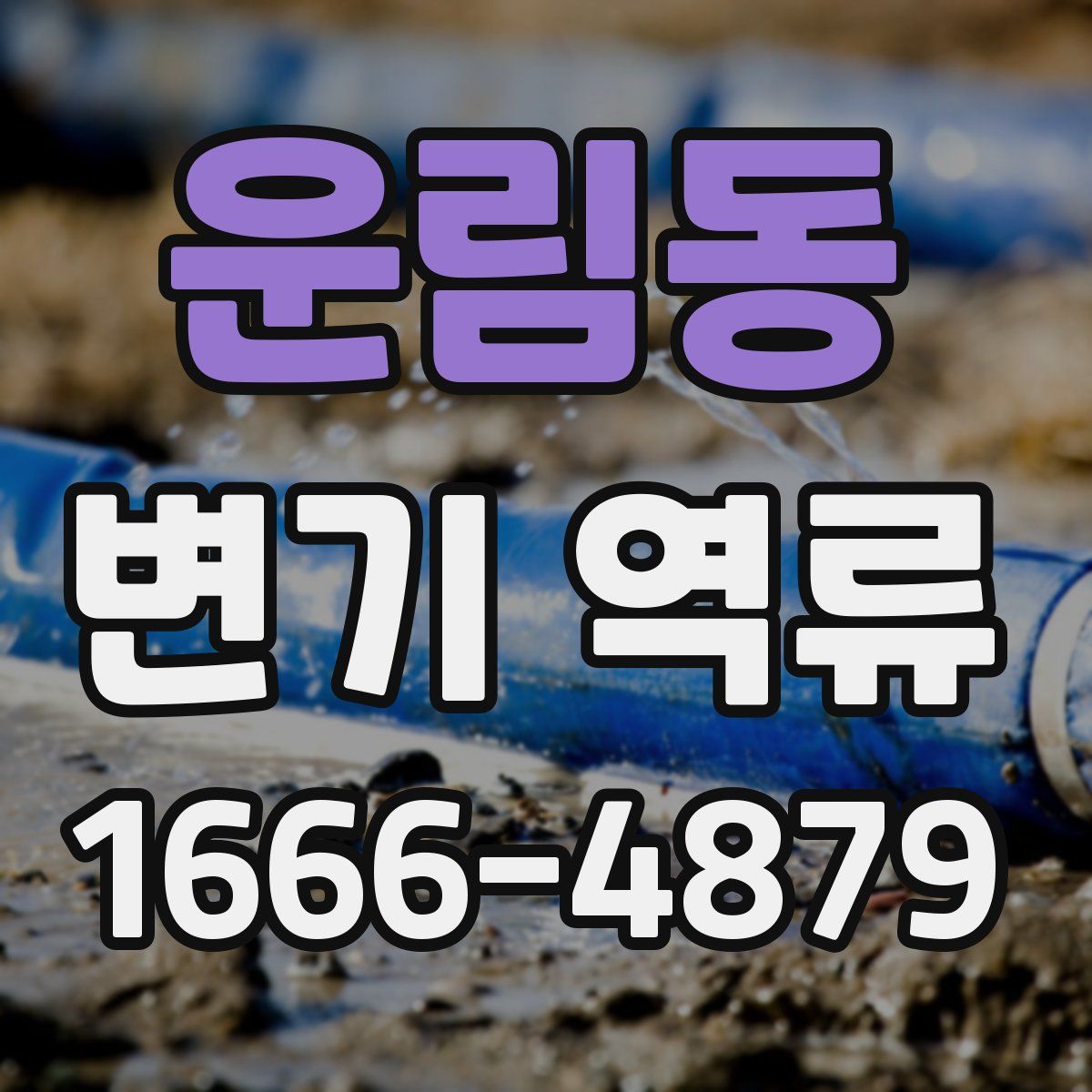 운림동 변기 역류