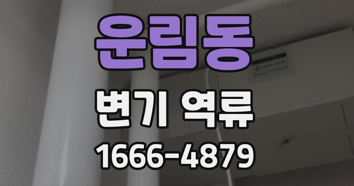 운림동 변기 역류