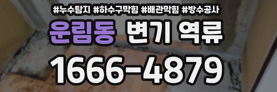 운림동 변기 역류