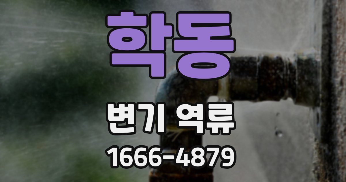 학동 변기 역류