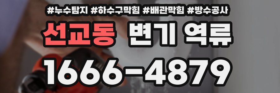 선교동 변기 역류