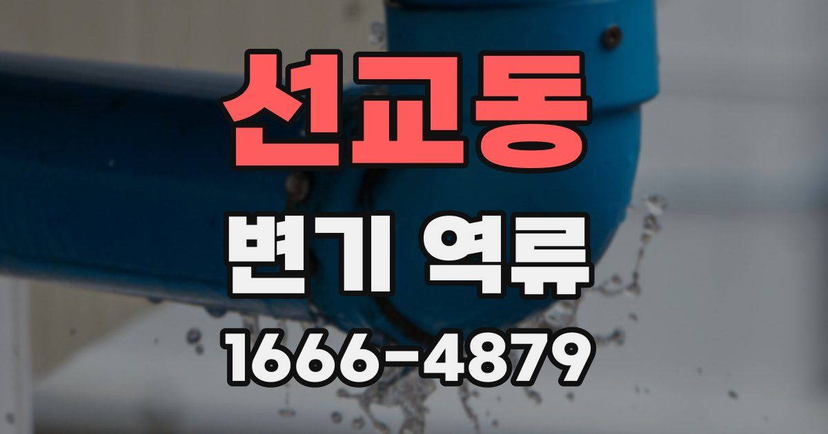 선교동 변기 역류