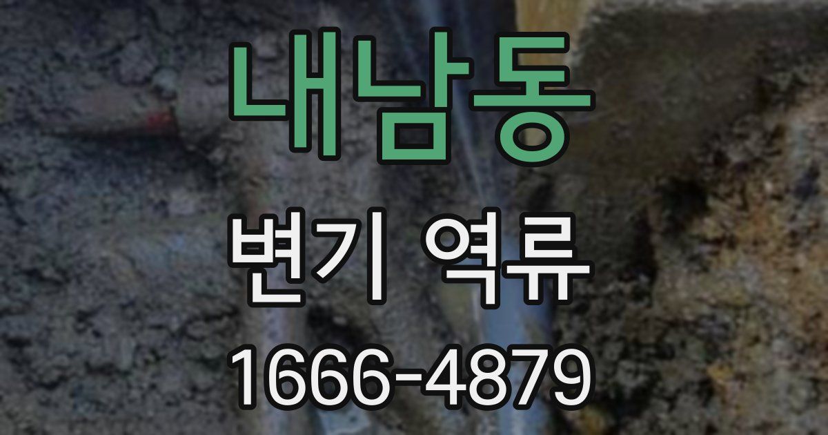 내남동 변기 역류