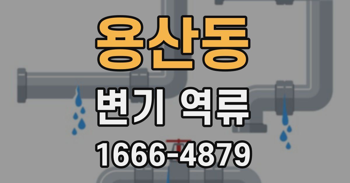 용산동 변기 역류
