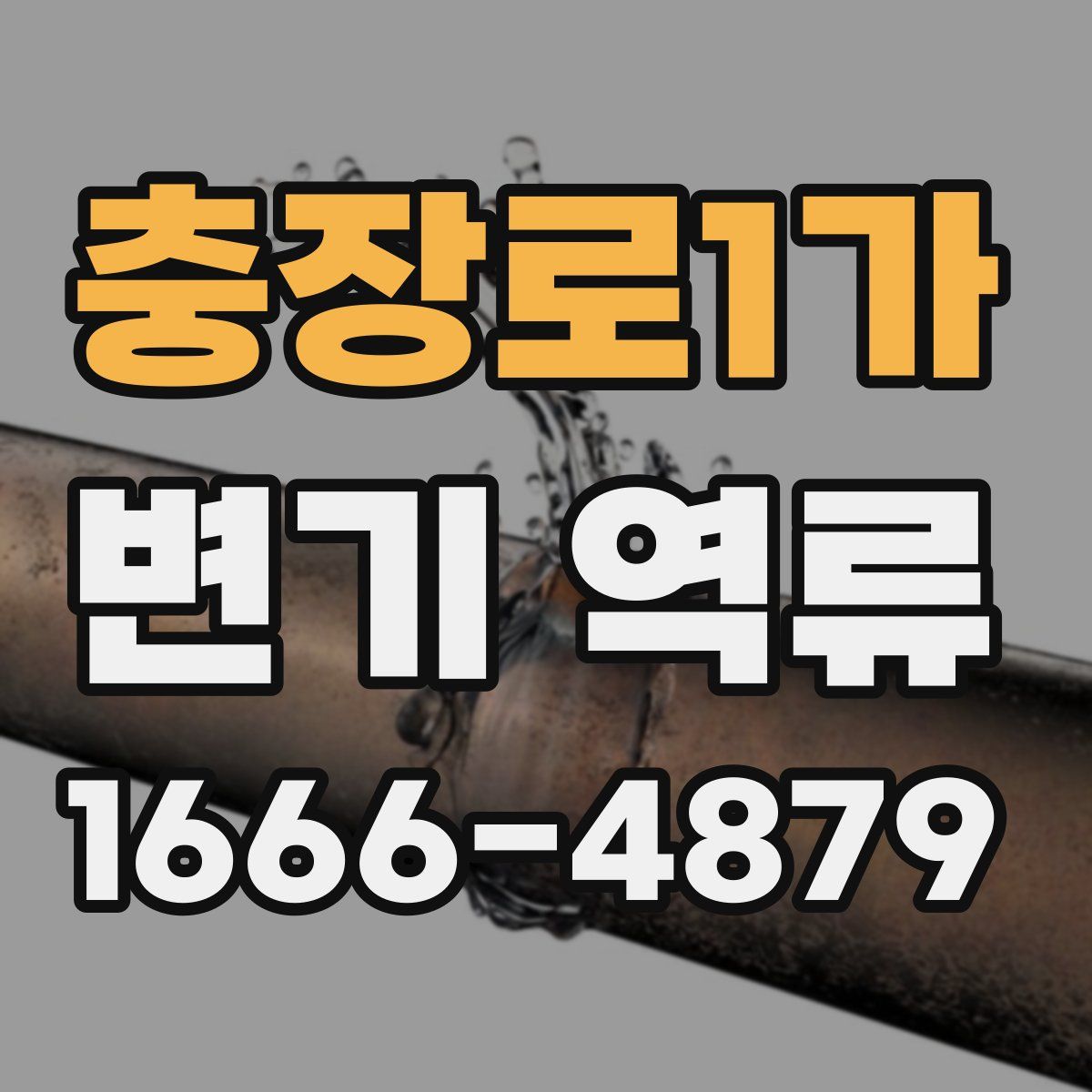 충장로1가 변기 역류