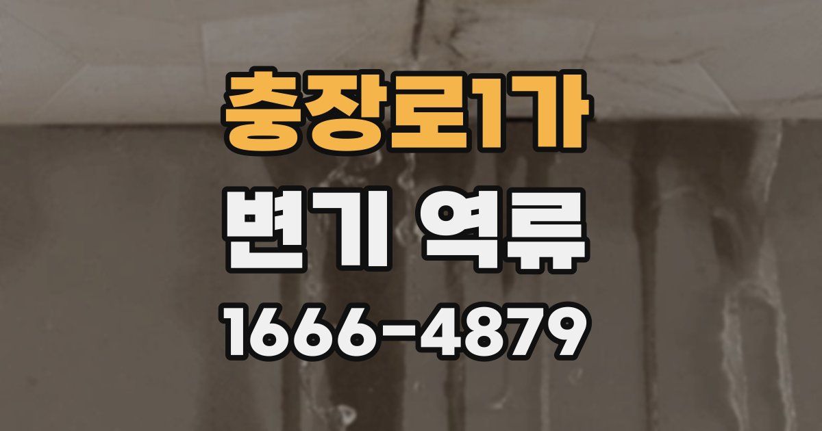 충장로1가 변기 역류