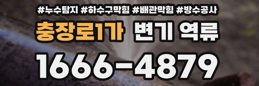 충장로1가 변기 역류
