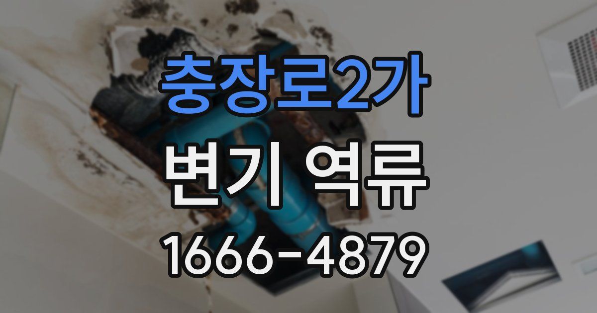 충장로2가 변기 역류