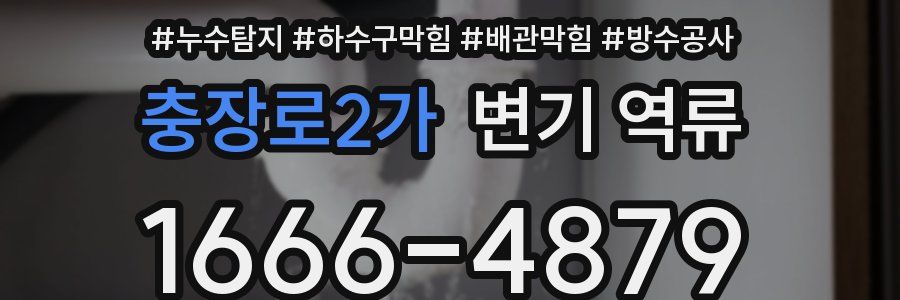 충장로2가 변기 역류