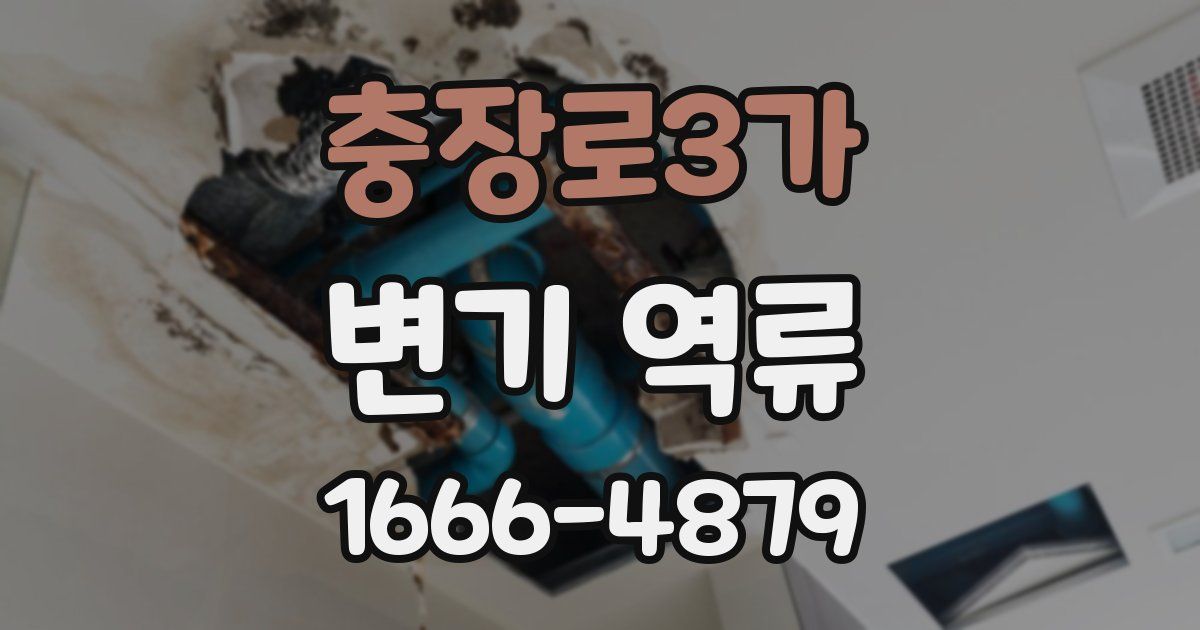 충장로3가 변기 역류