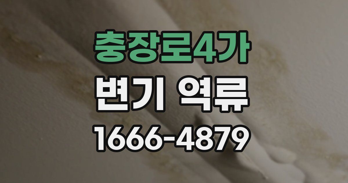 충장로4가 변기 역류