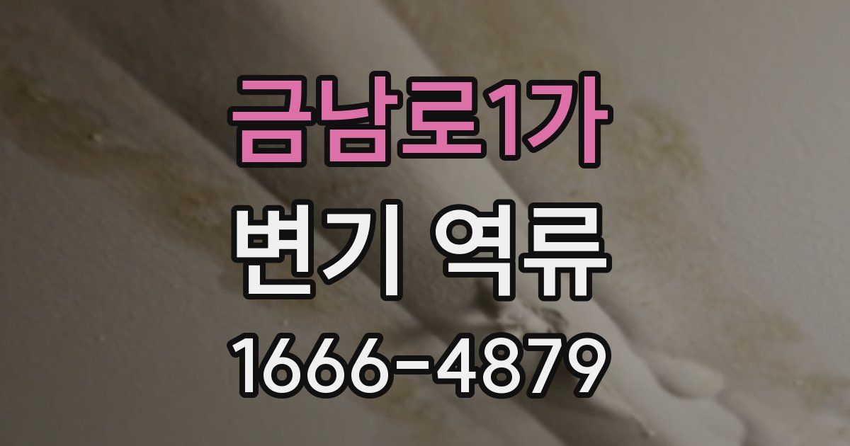 금남로1가 변기 역류