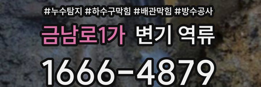 금남로1가 변기 역류