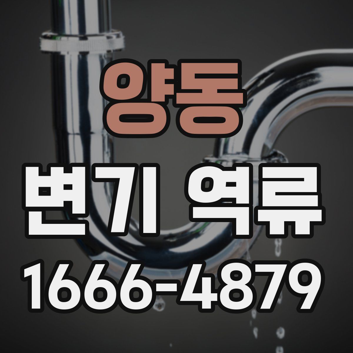 양동 변기 역류
