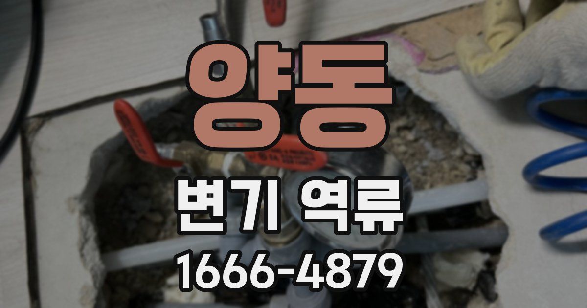 양동 변기 역류