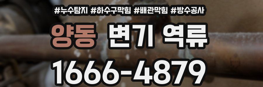 양동 변기 역류